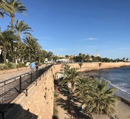 Cc8 Ii By Zanis * Torrevieja